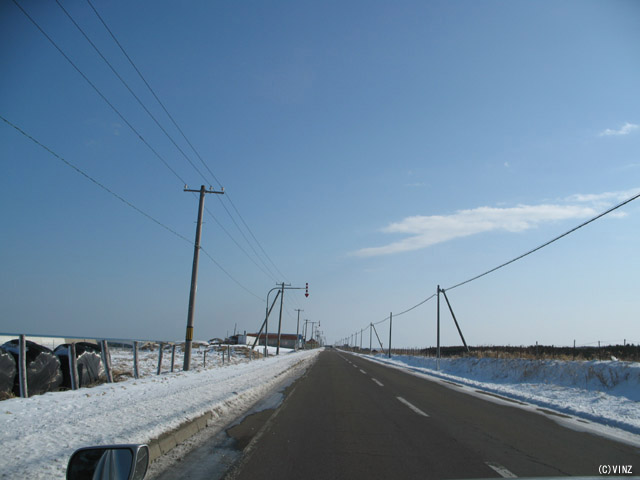 雪景色 雪道　道路 北海道の道路 道東 野付半島 道道950号線