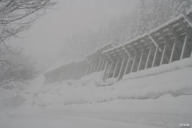 雪景色　雪道　道路 福井県の道路 国道157号 勝山市 「雪崩予防柵 雪崩防止柵」 