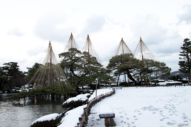 雪景色 冬 石川 金沢 兼六園 雪吊り 雪囲い
