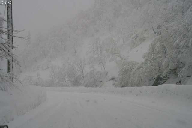 雪景色　雪道　道路 石川県の道路 国道157号 白山市